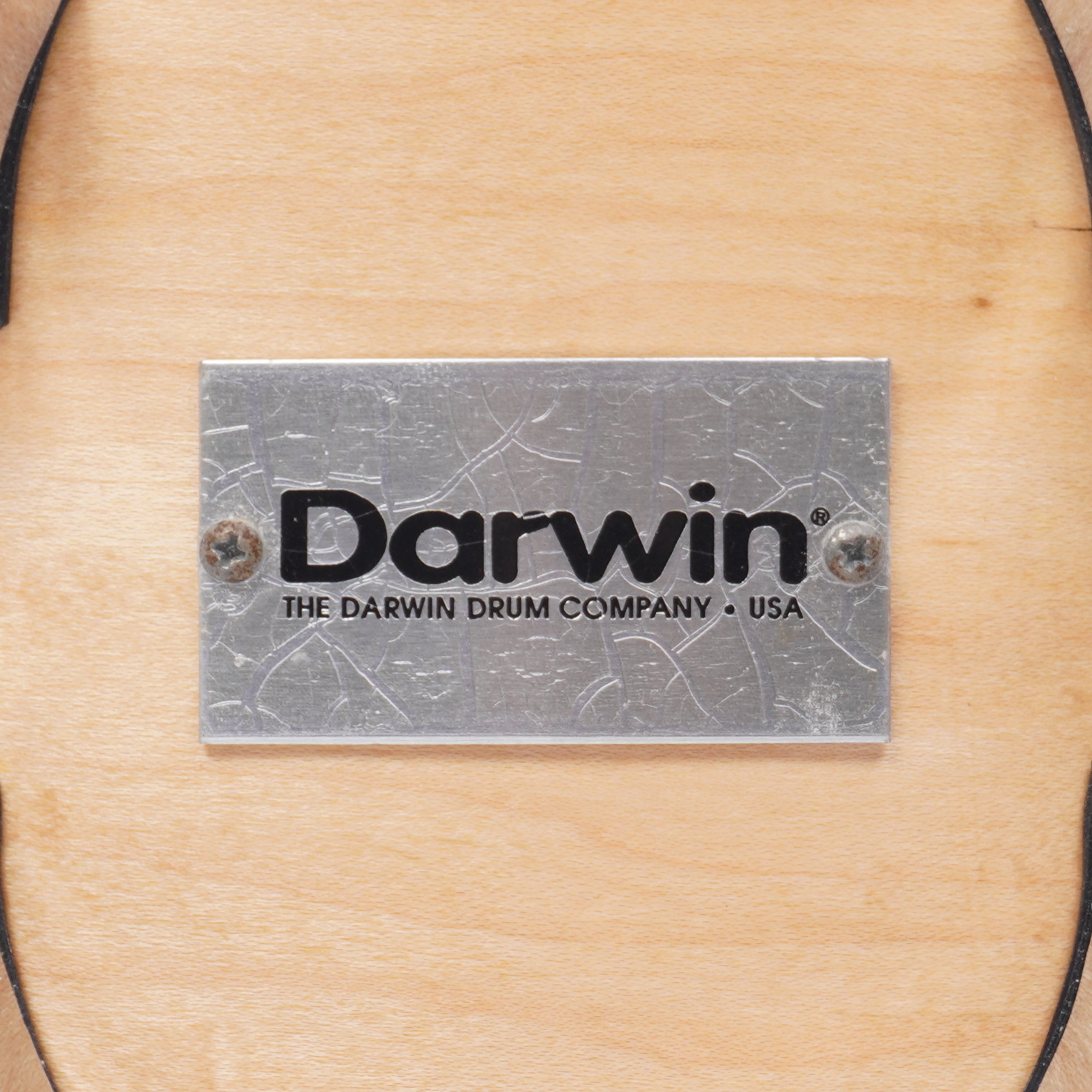 DARWIN 14"x 8" MAPLE SNARE DRUM - Image 8